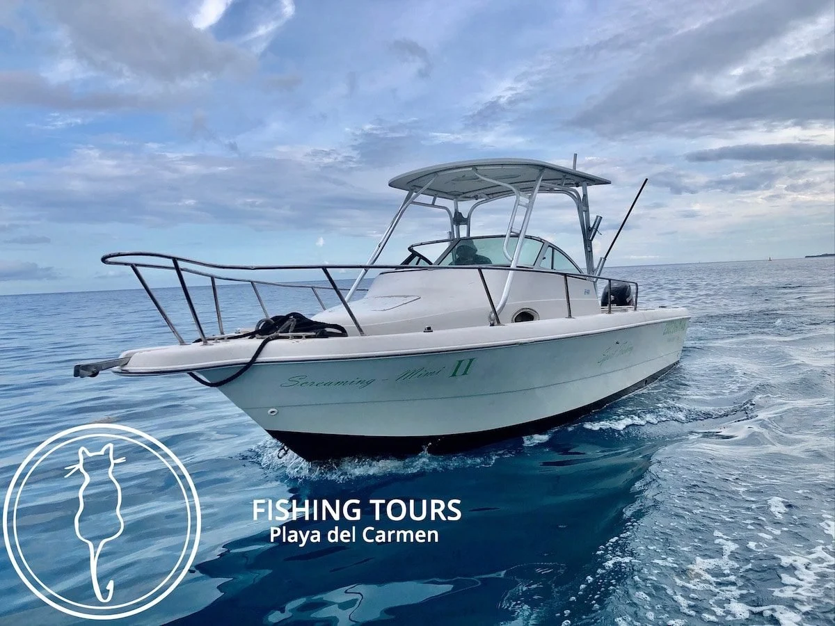Fishing Charter Boat, trolling fishing in playa del carmen, private fishing charter , fishing tours playa del carmen